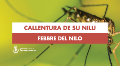febbre-nilo-serramanna febbre-nilo-serramanna